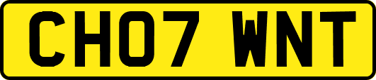 CH07WNT