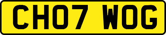 CH07WOG
