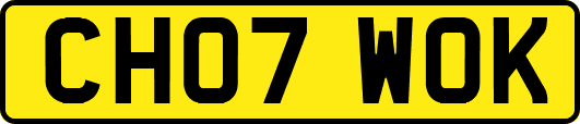 CH07WOK