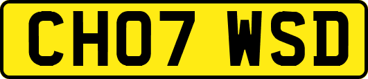 CH07WSD
