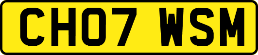 CH07WSM