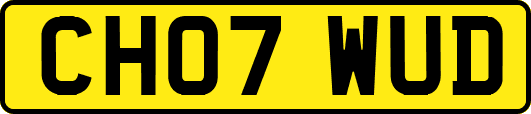 CH07WUD