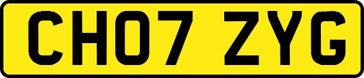 CH07ZYG