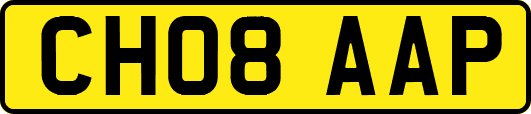 CH08AAP