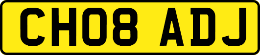 CH08ADJ