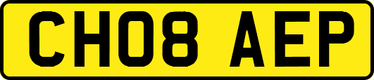 CH08AEP