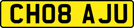 CH08AJU