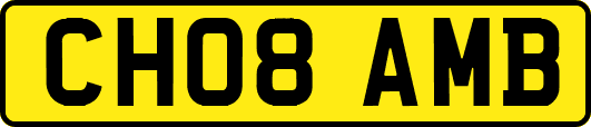 CH08AMB