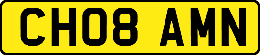 CH08AMN