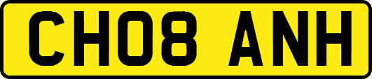 CH08ANH