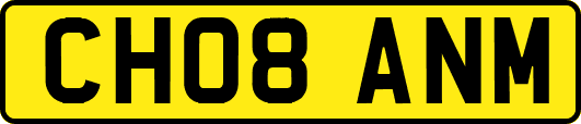 CH08ANM