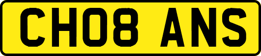 CH08ANS