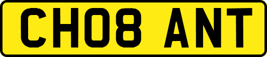 CH08ANT