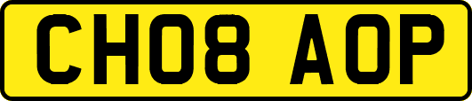 CH08AOP