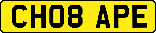 CH08APE
