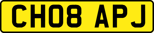 CH08APJ