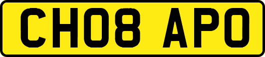 CH08APO