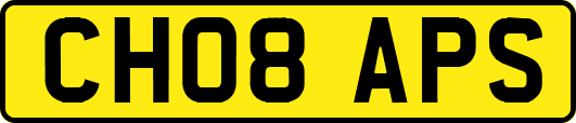 CH08APS