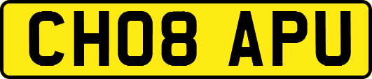 CH08APU