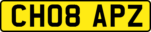 CH08APZ