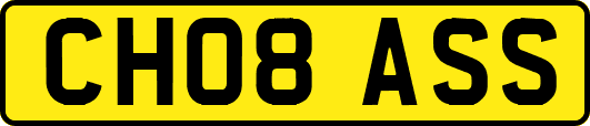 CH08ASS