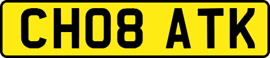 CH08ATK