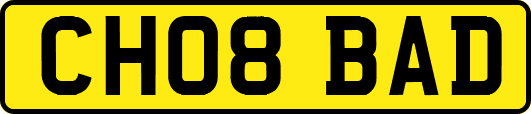 CH08BAD
