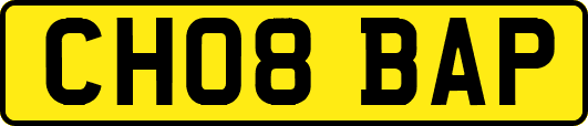 CH08BAP