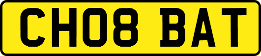 CH08BAT