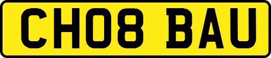 CH08BAU