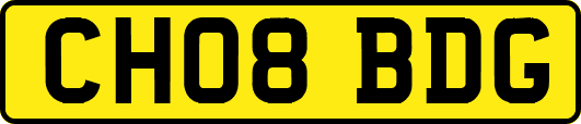 CH08BDG