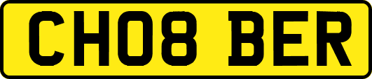 CH08BER