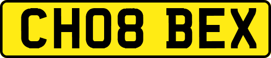 CH08BEX
