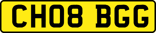 CH08BGG