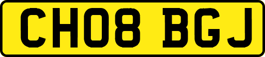 CH08BGJ