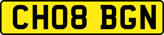 CH08BGN