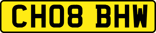 CH08BHW