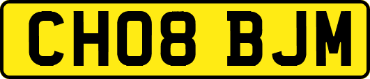 CH08BJM