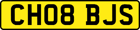 CH08BJS
