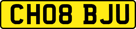 CH08BJU
