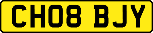 CH08BJY