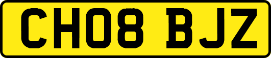 CH08BJZ