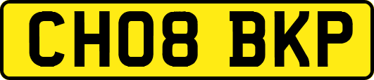 CH08BKP