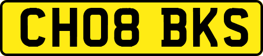 CH08BKS