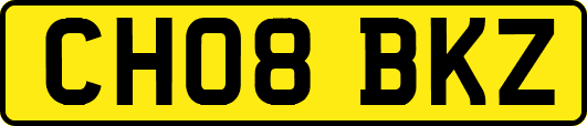CH08BKZ