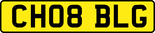 CH08BLG