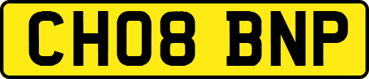 CH08BNP