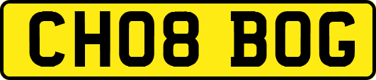 CH08BOG
