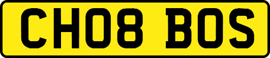 CH08BOS