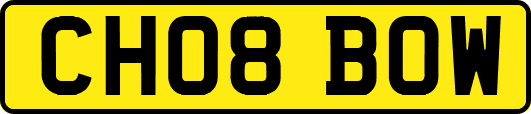 CH08BOW